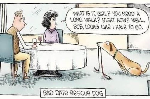 bad date rescue dog.jpg